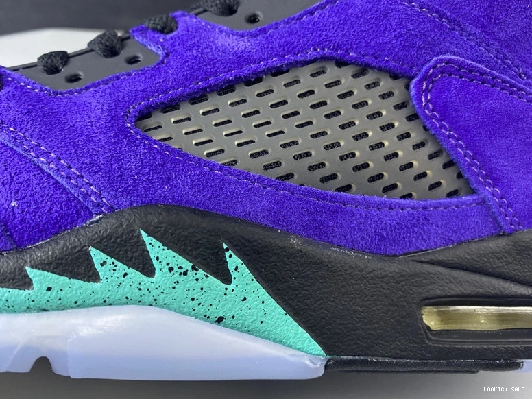 Rep Jordan Air  136027-500 “Alternate Grape” 5 0514